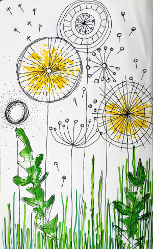 dandelion1